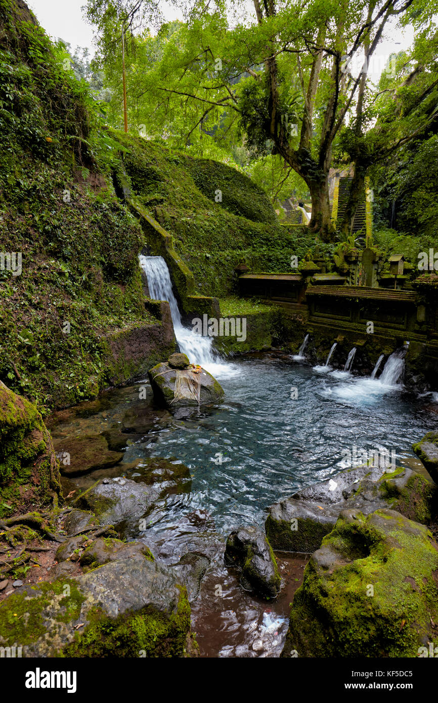 Metà della piscina da bagno maschile nel Tempio di Mengening. Tampaksiring, Bali, Indonesia. Foto Stock Metà della piscina da bagno maschile nel Tempio di Mengening. Tampaksiring, Bali, Indonesia. Foto Stock