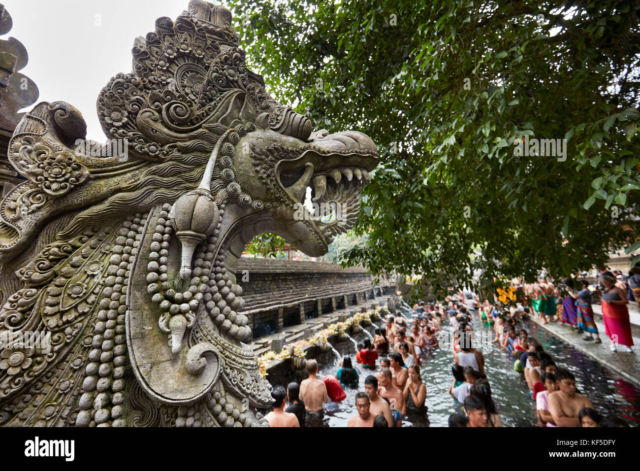 Testa della statua di Naga presso la piscina rituale nel tempio Tirta Empowerl. Tampaksiring, Bali, Indonesia. Foto Stock Testa della statua di Naga presso la piscina rituale nel tempio Tirta Empowerl. Tampaksiring, Bali, Indonesia. Foto Stock