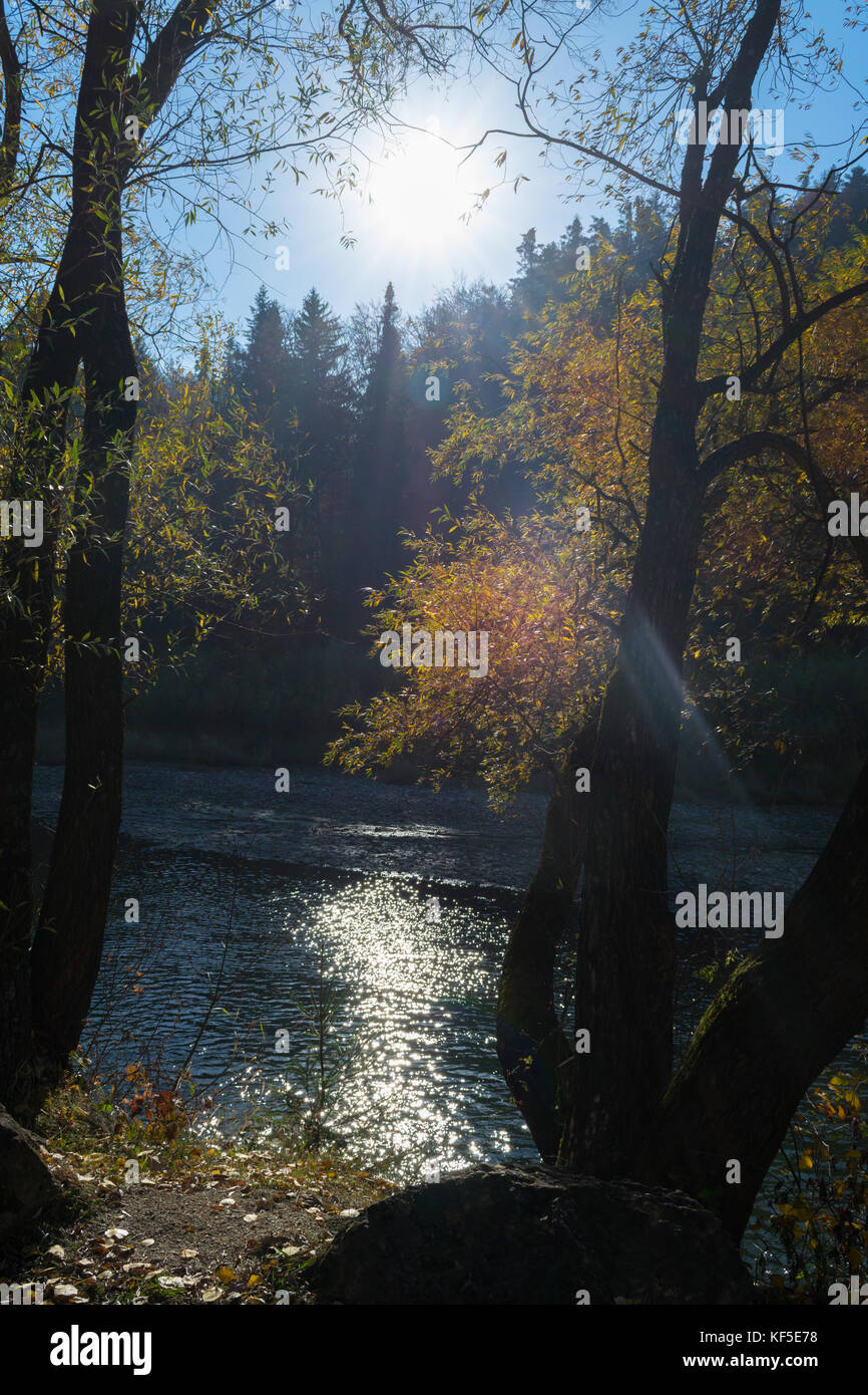 Mattina di sole con luce solare riflessa in un fiume e nel bel mezzo di una foresta rumena, Europa orientale Foto Stock