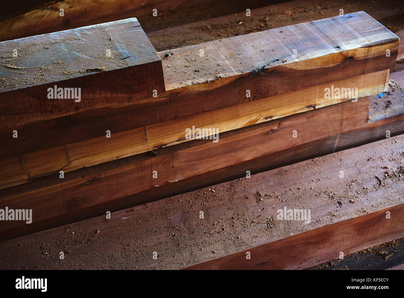 Chico zapote manilkara zapota legno proveniente dalla foresta pluviale del Messico chewing gum tree Foto Stock