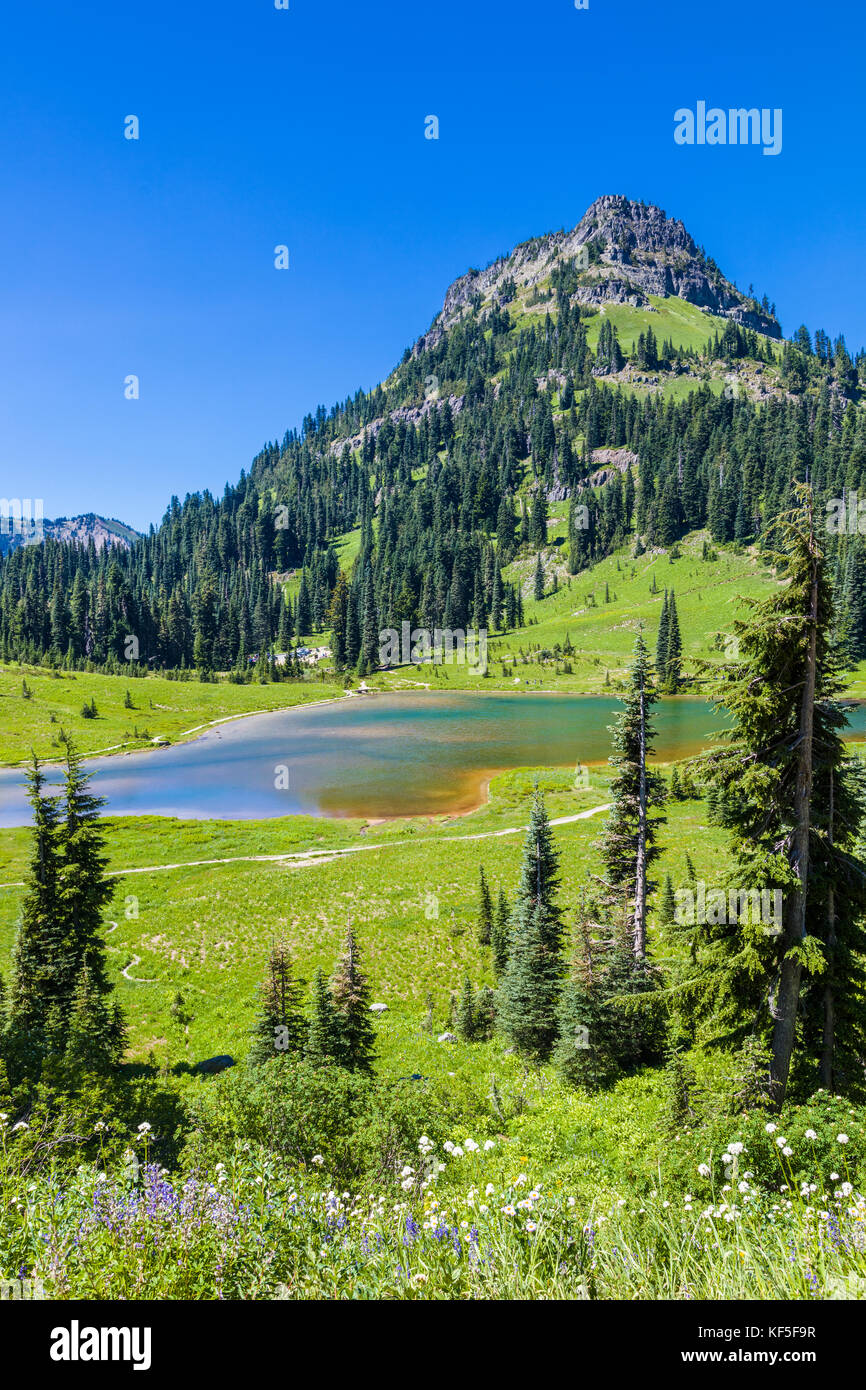 Tipsoo lake sul Mather Memorial Parkway in Mount Rainier National Park washington in umited membri Foto Stock