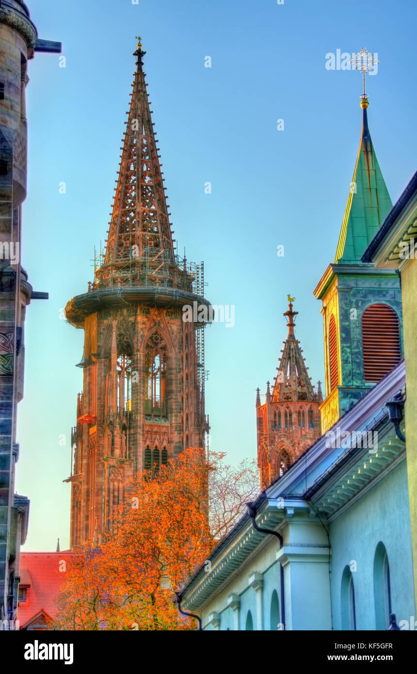 Freiburg Minster, la cattedrale di Friburgo in Brisgovia, Germania sud-occidentale Foto Stock