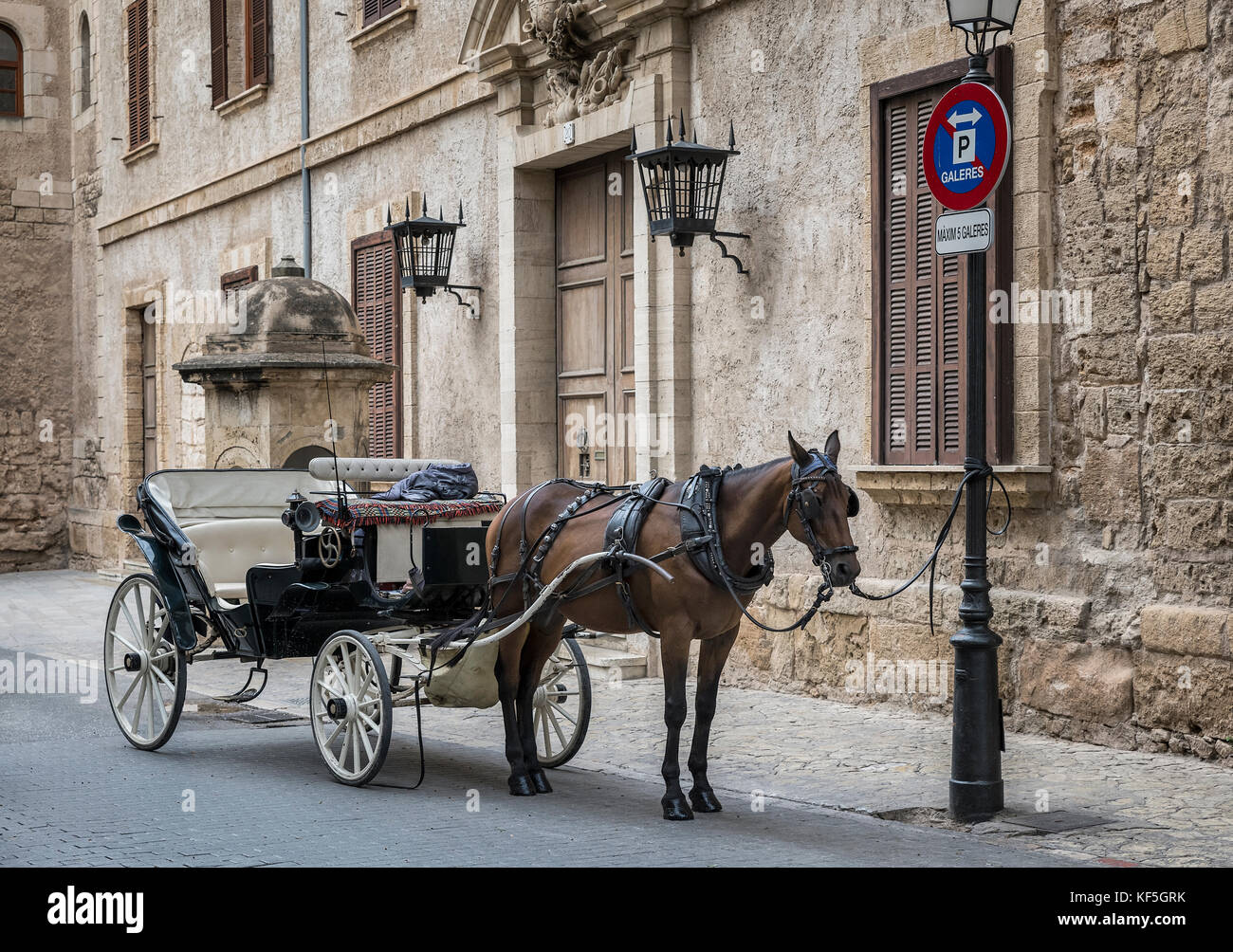 Carro trainato da cavalli attende old city tour clienti, Palma de Maiorca, isole Baleari, Spagna. Foto Stock