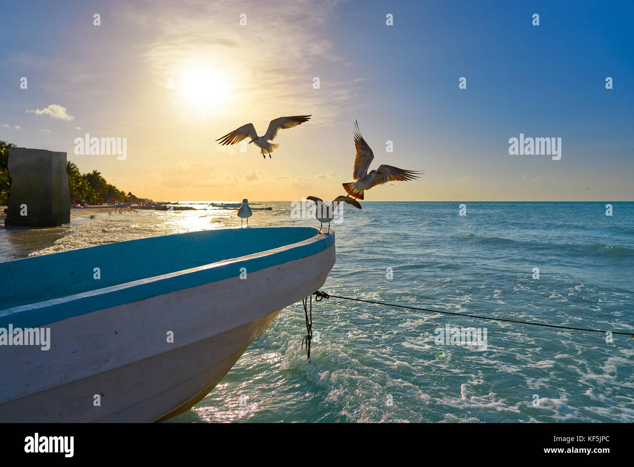 Holbox isola tropicale sulla spiaggia i gabbiani barca in quintana roo del Messico Foto Stock