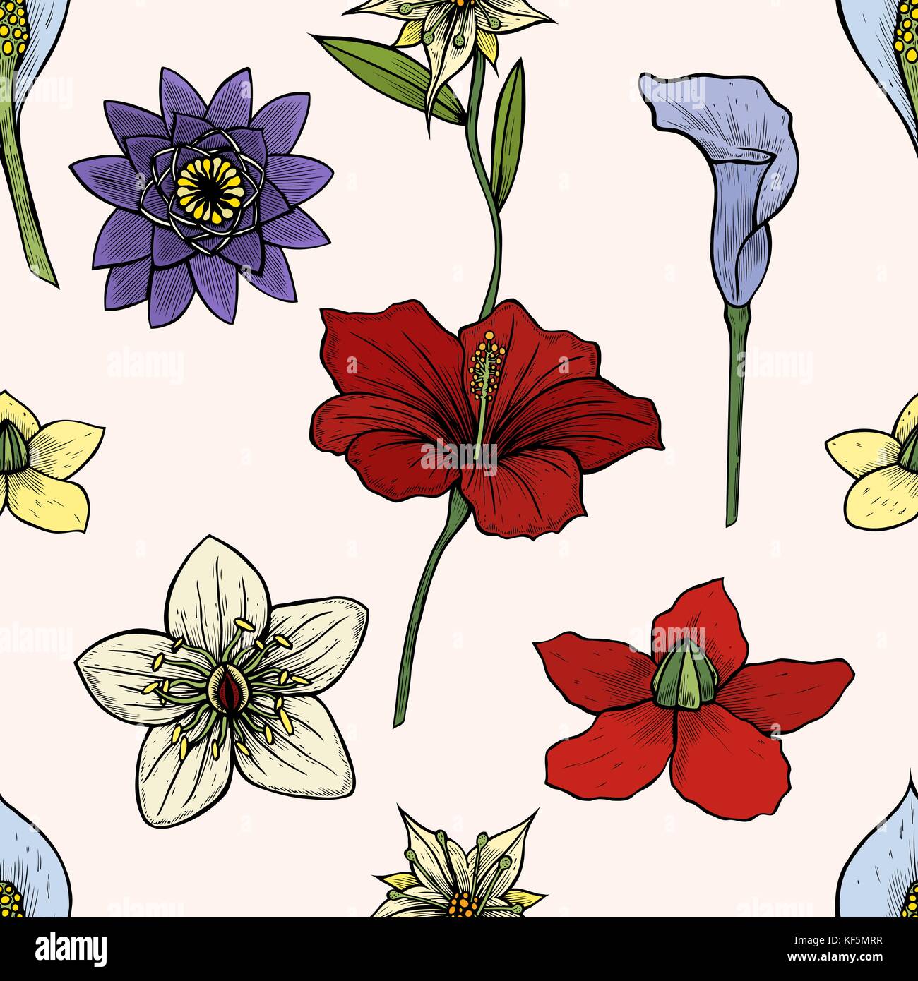 Vector Vintage Seamless Disegno Floreale Erbe E Fiori Selvatici