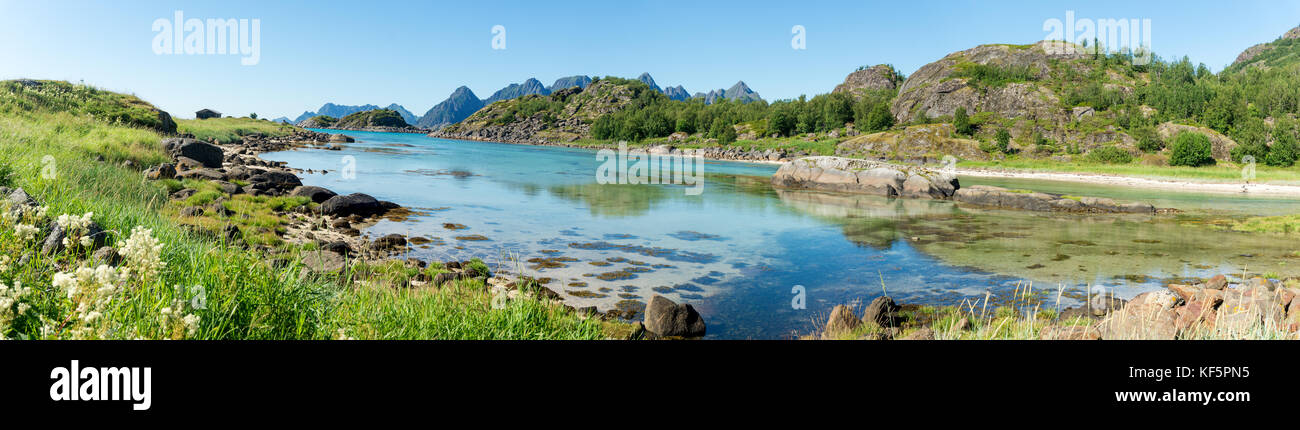 Le acque turchesi della baia, le pietre e la verde erba in estate, arsteinen isola dell'arcipelago delle Lofoten, Norvegia Foto Stock