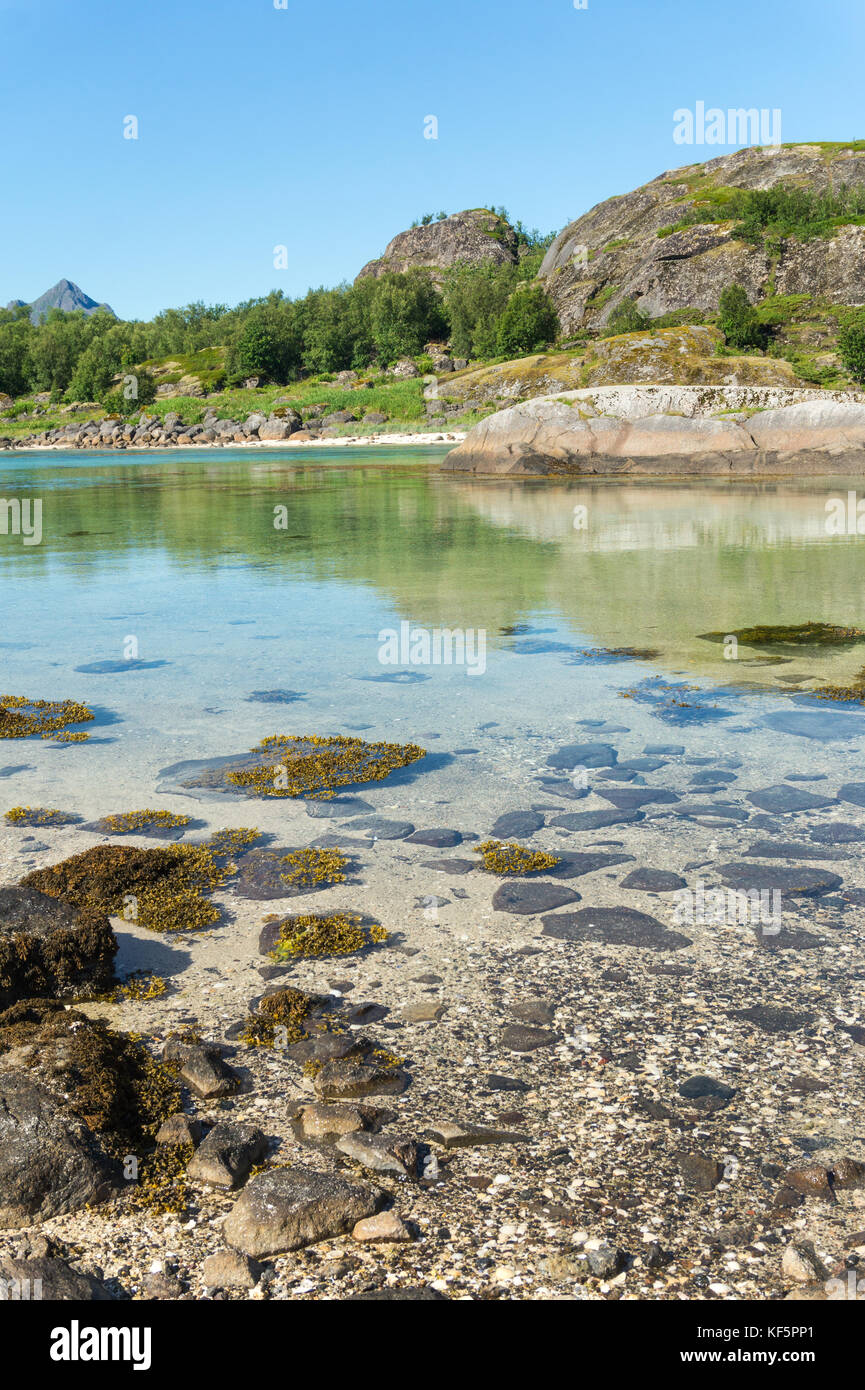 Le acque turchesi della baia, le pietre e la verde erba in estate, arsteinen isola dell'arcipelago delle Lofoten, Norvegia Foto Stock