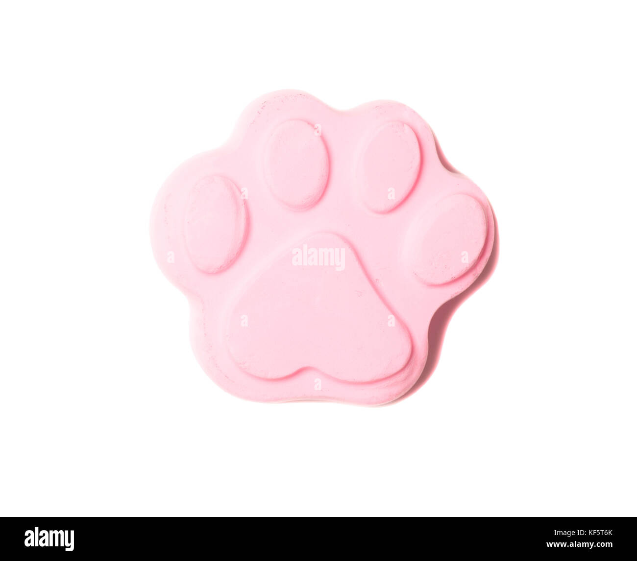 Footprint animale isolato su sfondo bianco Foto Stock