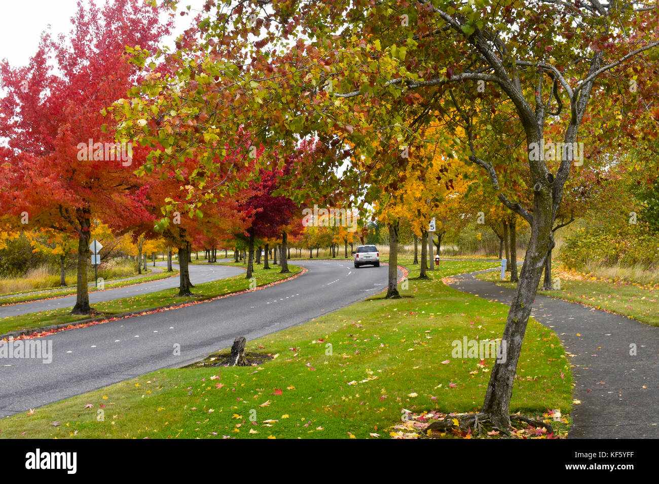 Strade di curvatura in autunno con un auto sulla strada. Foto Stock