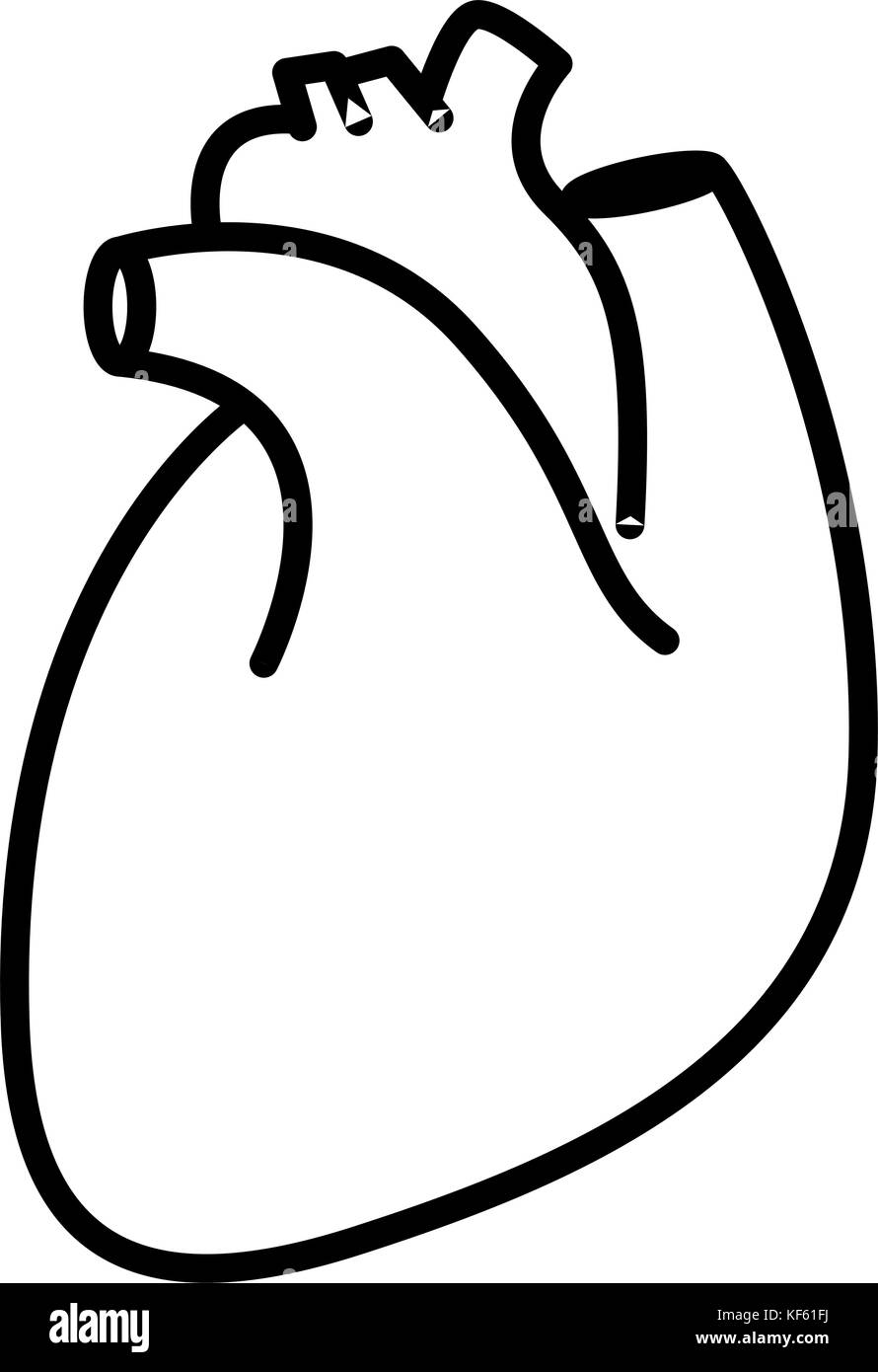 Cuore umano illustrazione Illustrazione Vettoriale