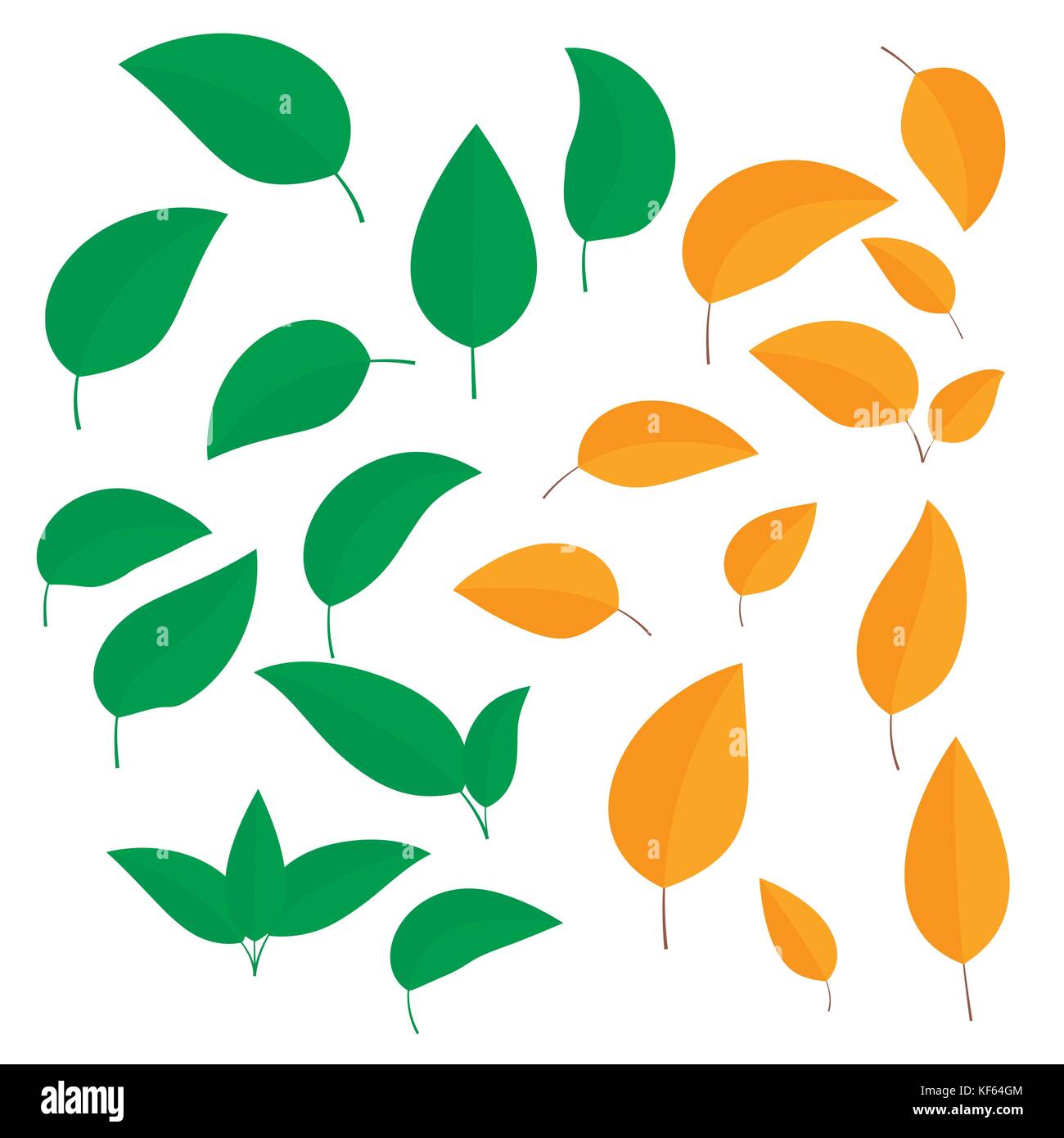 Set di foglie colorate in estate e in autunno arricciate in modo diverso isolato su sfondo bianco - vettore Illustrazione Vettoriale