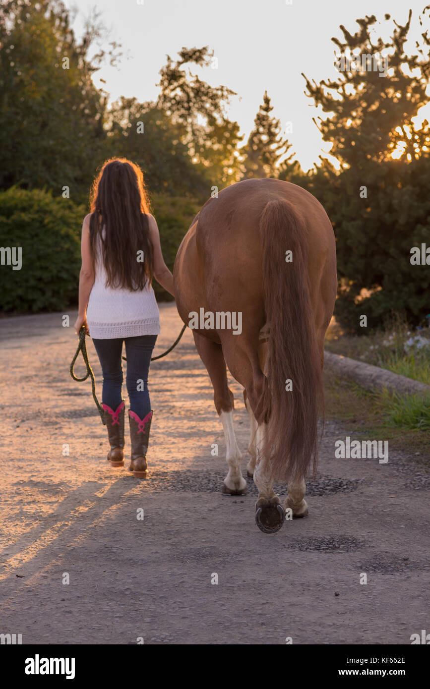 Una ragazza cammina il suo cavallo lungo un percorso nel sole del tardo pomeriggio. Foto Stock