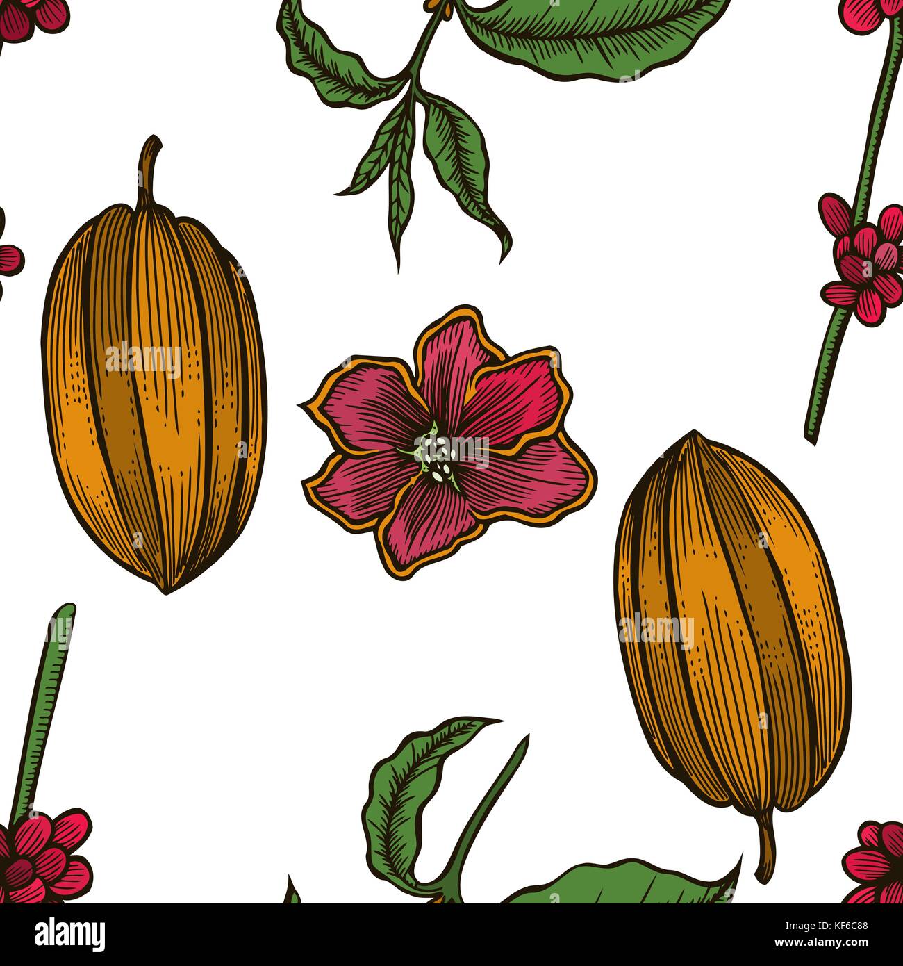 Vector pattern senza giunture delle fave di cacao e foglie. disegnati a mano inciso colorato art. progettare la tua moda prodotti di cura, branding, identità advertiseme Illustrazione Vettoriale