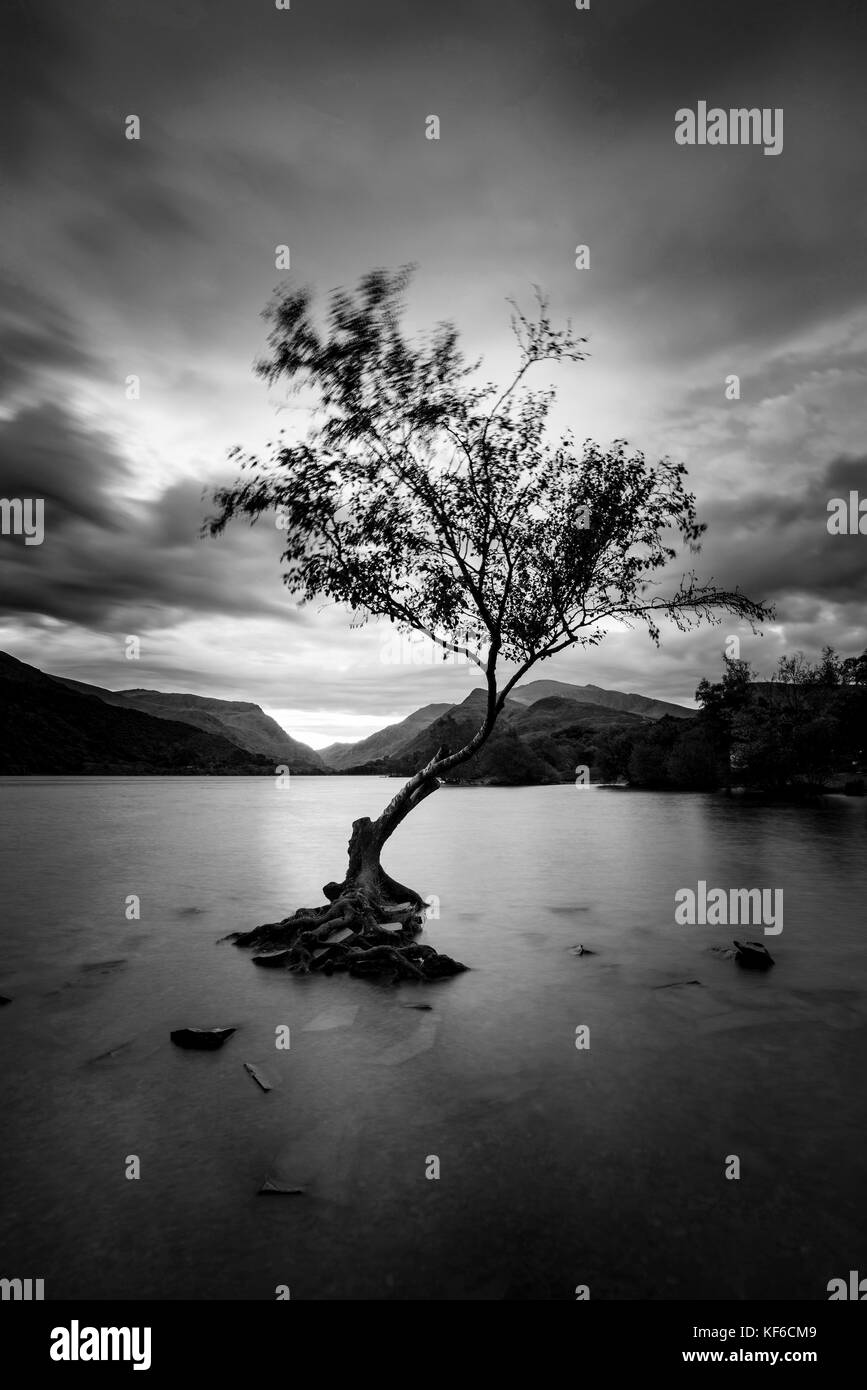 In bianco e nero un bellissimo paesaggio immagine del llyn padarn presso sunrise snowfonia nel parco nazionale Foto Stock