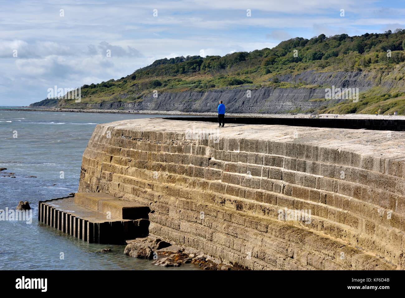 Il Cobb Lyme Regis Dorset England Regno Unito Foto Stock