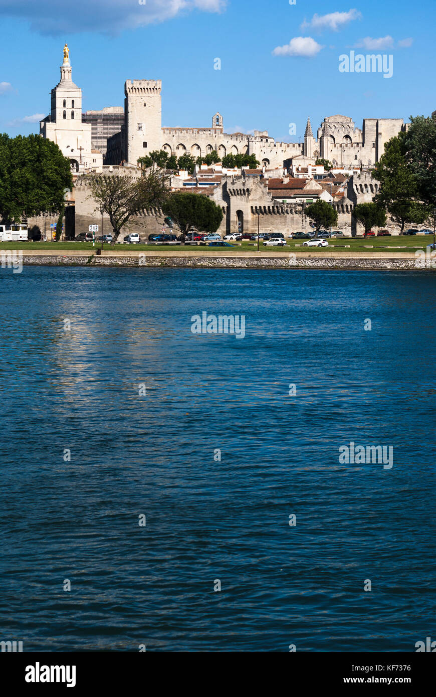 Cattedrale di Avignone e Palazzo Papale visto dall'altra parte del fiume Rhône. Avignone, Provenza, Vaucluse, Francia. Foto Stock