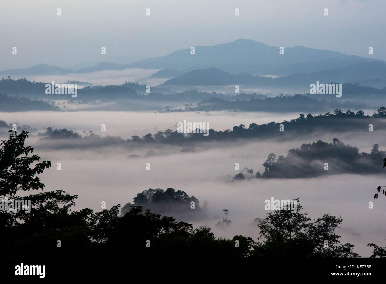 Danum Valley nella luce del mattino prima che si alza il sole brucia e le nuvole di distanza. Foto Stock