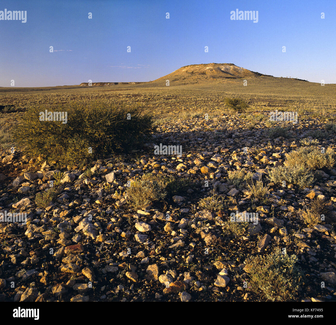Jump Up Country, Sturt National Park, nell'estremo ovest del New South Wales, Australia Foto Stock