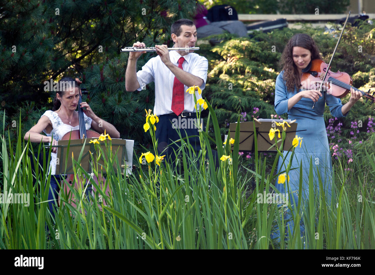 Musicisti di suonare musica a lu giardino botanico Riga, Lettonia Foto Stock