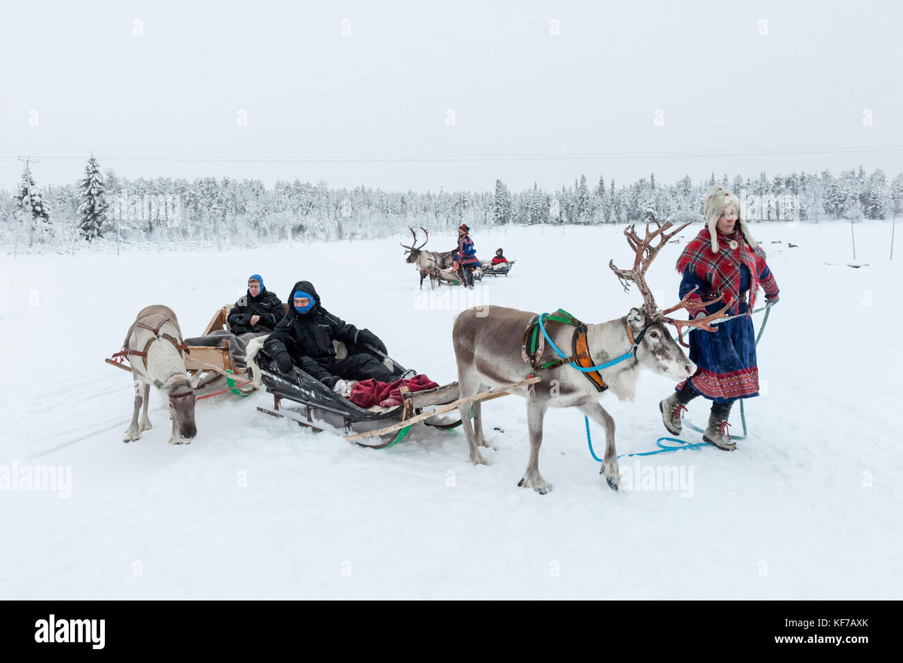 La renna Sleigh Ride, Levi, Finlandia. Foto Stock