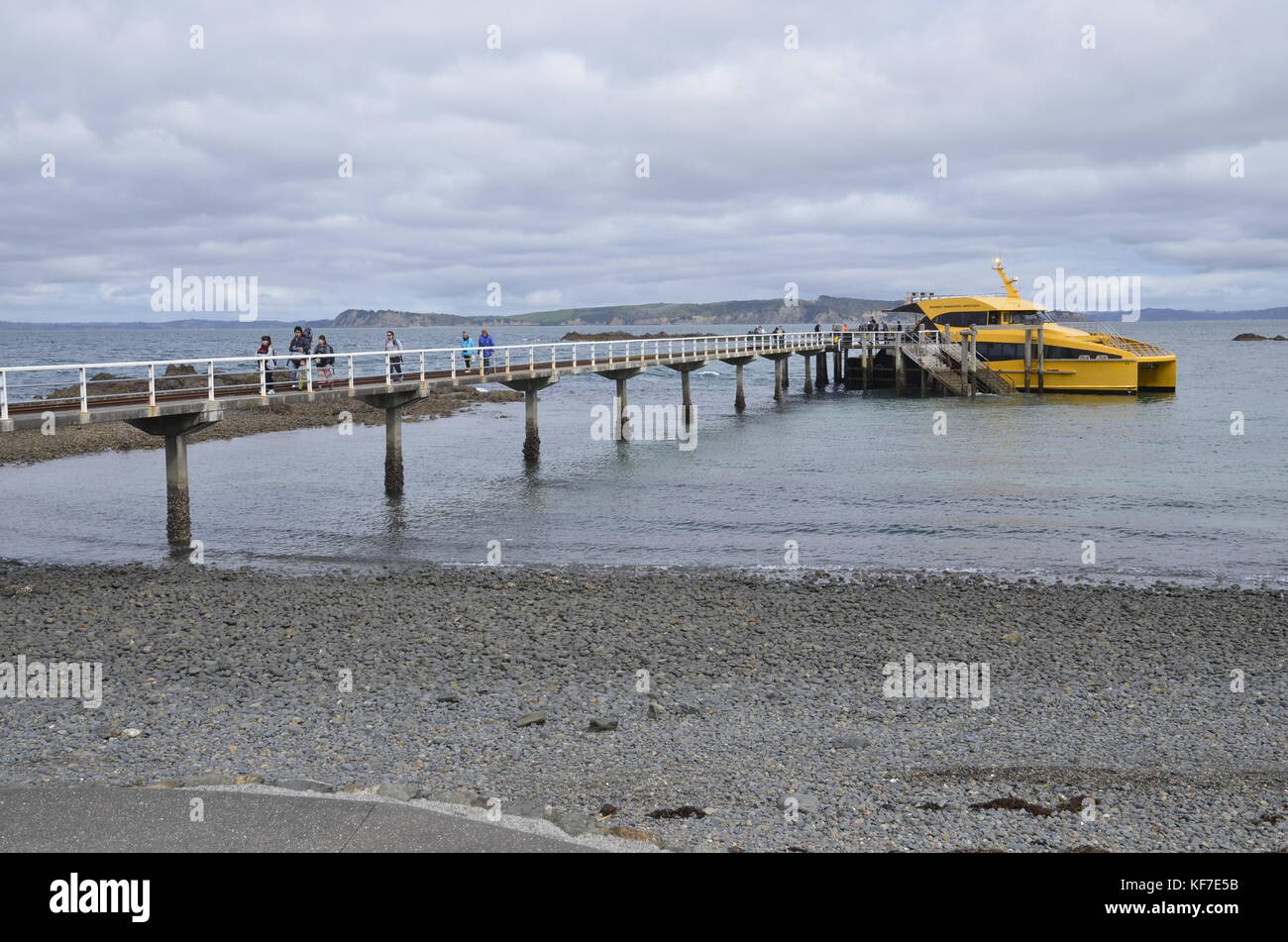 I passeggeri del traghetto al pontile a Tiritiri Matangi Island, un santuario degli uccelli e la natura aperta di riserva nel Golfo di Hauraki a nord di Auckland, Nuova Zelanda. Foto Stock