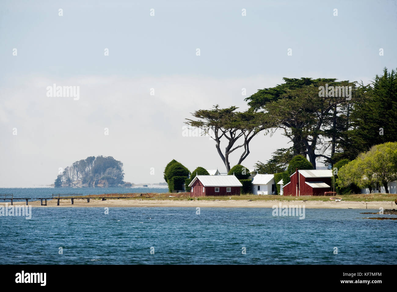 Stati Uniti, California, azienda agricola da hog island, tomales bay Foto Stock