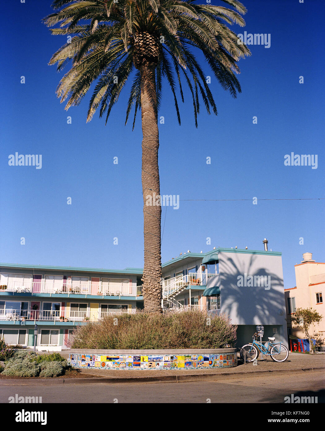 Stati Uniti, California, un beach cruiser e un albero di palma nel centro cittadino di capitola Foto Stock
