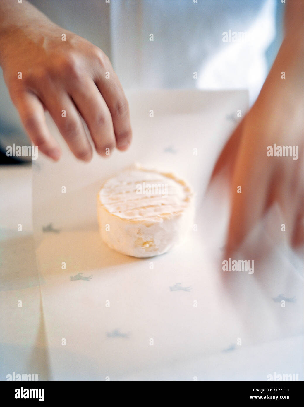 USA, California, Point Reyes Station, Hands Wrapping Mt. Formaggio TAM al Cowgirl Creamery, autostrada 1 Foto Stock