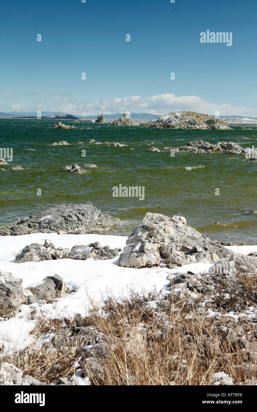 Stati Uniti, California, Mammut, il blu e il verde acqua al lago mono contrastato contro il bianco della neve le banche Foto Stock