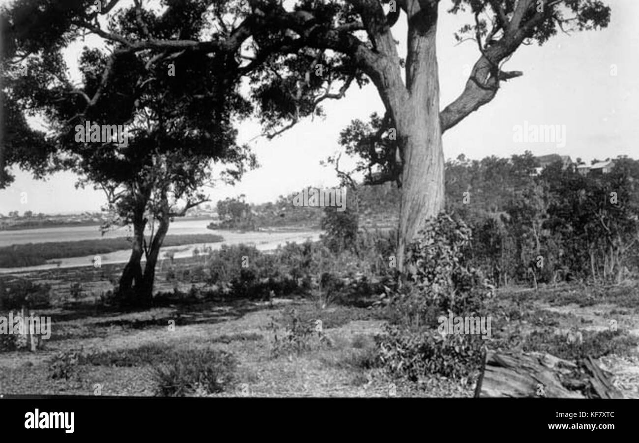 Lago Monger foreshore boscose c. 1914 Foto Stock