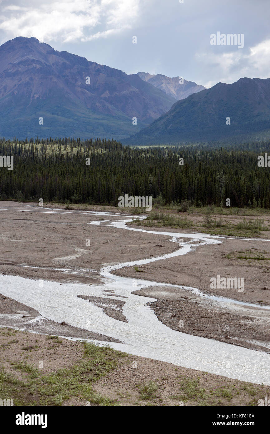 Stati Uniti d'America, Alaska denali, Denali National Park, la Scenic toklat fiume che può essere visto durante la visualizzazione della fauna selvatica drive tour attraverso il parco Foto Stock