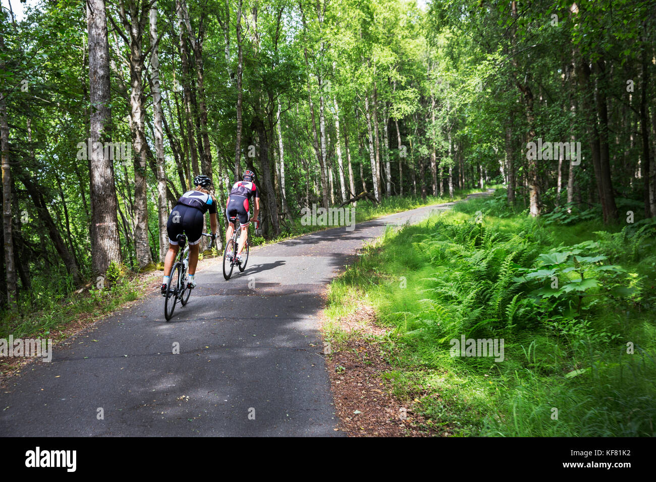 Stati Uniti d'America, Alaska, Anchorage, individui seguire strade lastricate attraverso gli alberi mentre in bicicletta lungo il lungomare Foto Stock