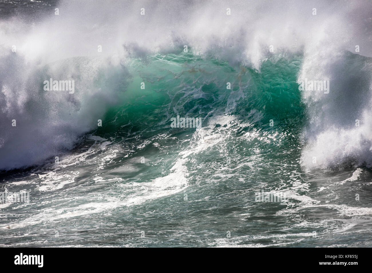 Hawaii, Oahu, North Shore eddie aikau, 2016 surfers competere nel eddie aikau 2016 big wave surf concorrenza, Waimea Bay Foto Stock