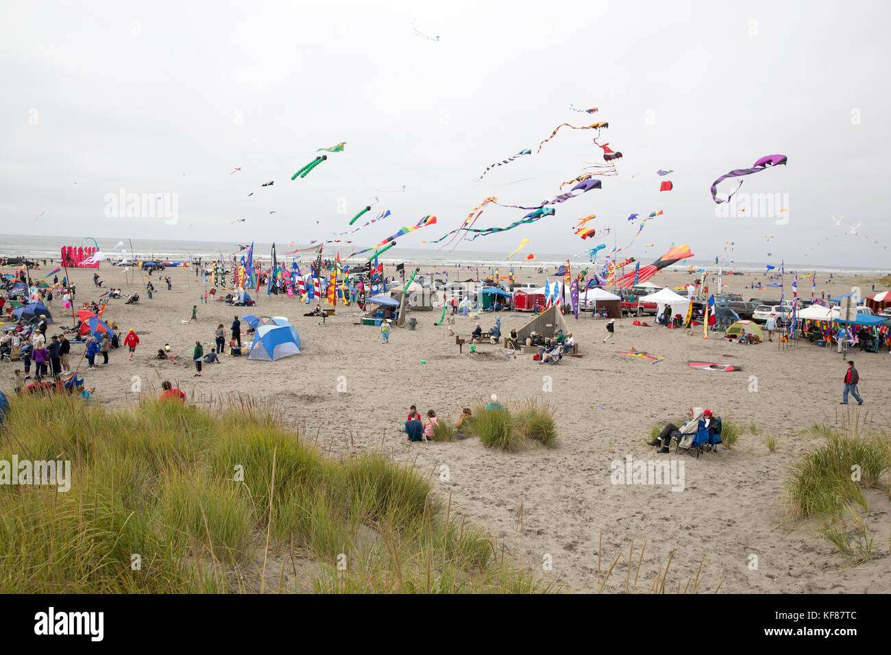 Stati Uniti d'America, nello stato di Washington, spiaggia lunga penisola, international kite festival Foto Stock
