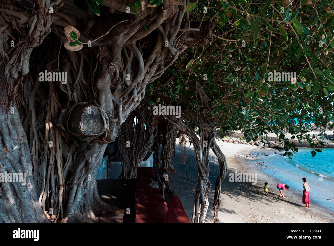 Spiaggia, Terre Sainte, Saint-Pierre, la reunion Foto Stock