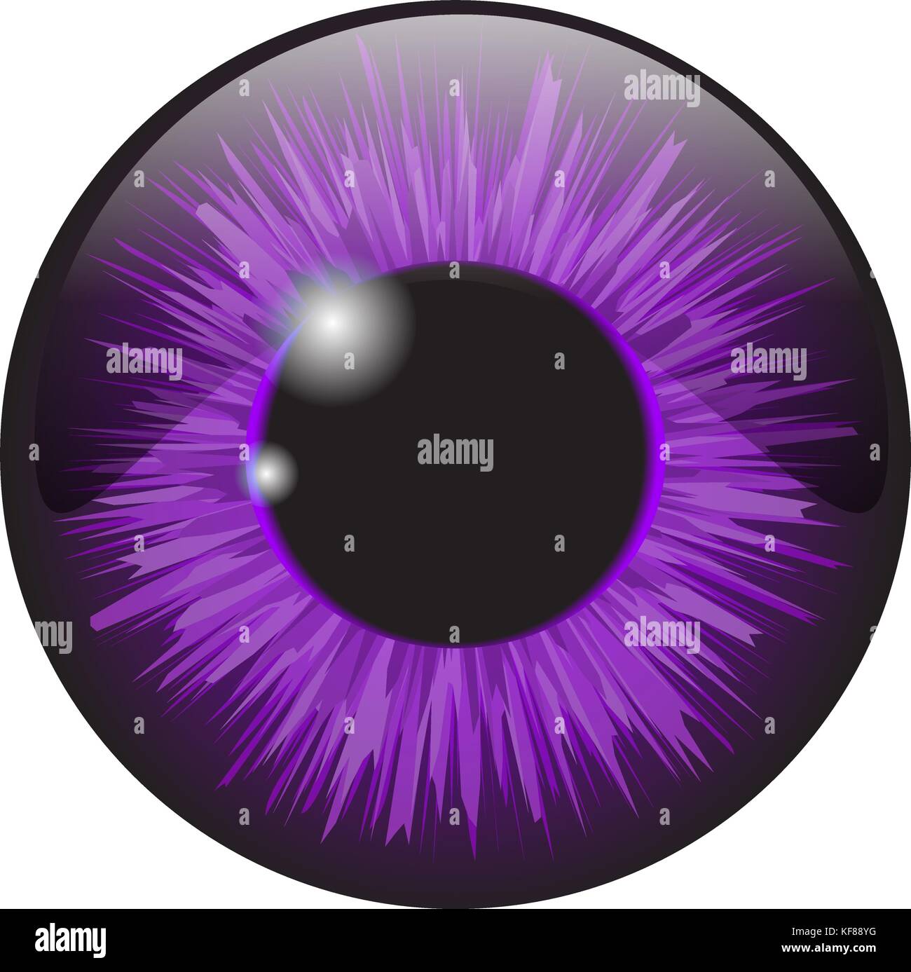 Iris Viola occhio vettore realistico set design isolato su sfondo bianco Illustrazione Vettoriale