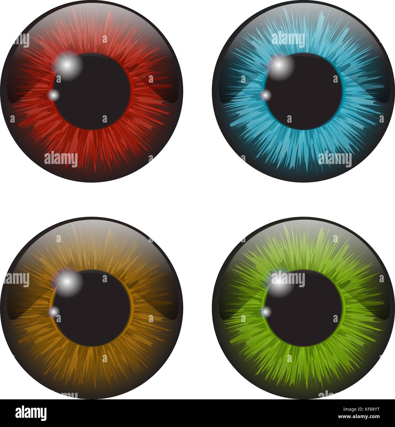 Iris occhio vettore realistico set design isolato su sfondo bianco Illustrazione Vettoriale