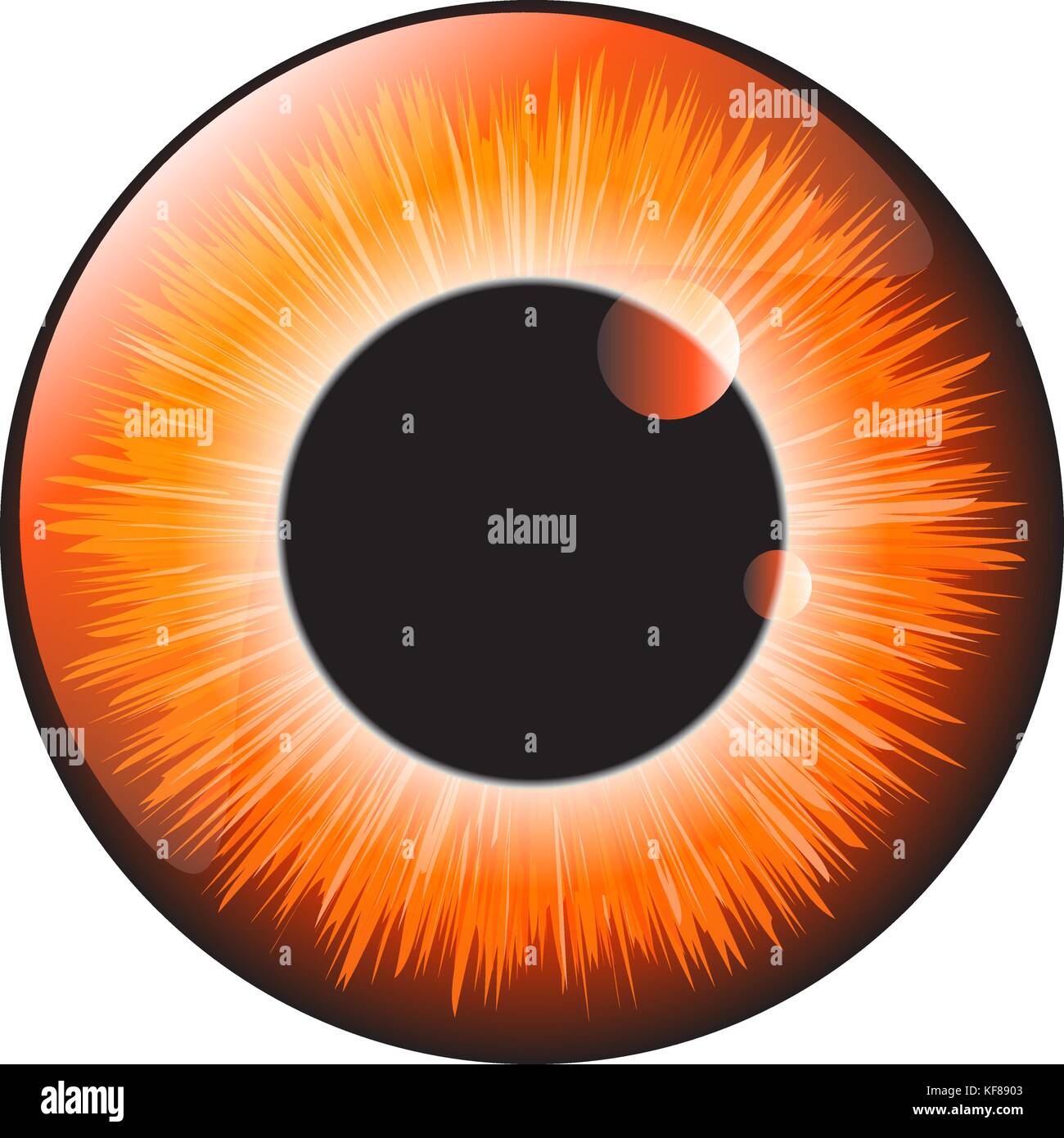 Arancione, hazel iris occhio vettore realistico set design isolato su sfondo bianco Illustrazione Vettoriale