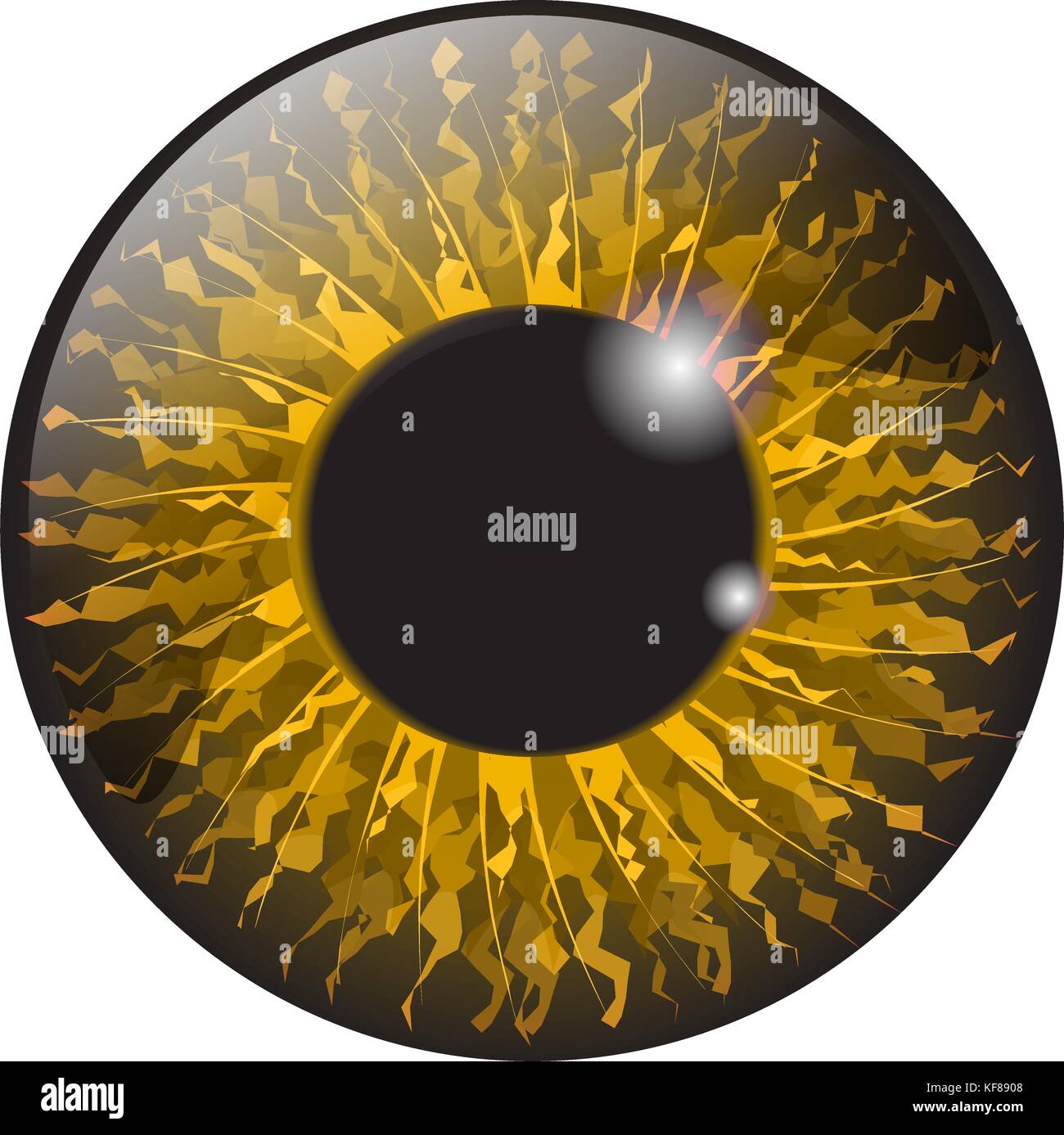 Arancione, hazel iris occhio vettore realistico set design isolato su sfondo bianco Illustrazione Vettoriale