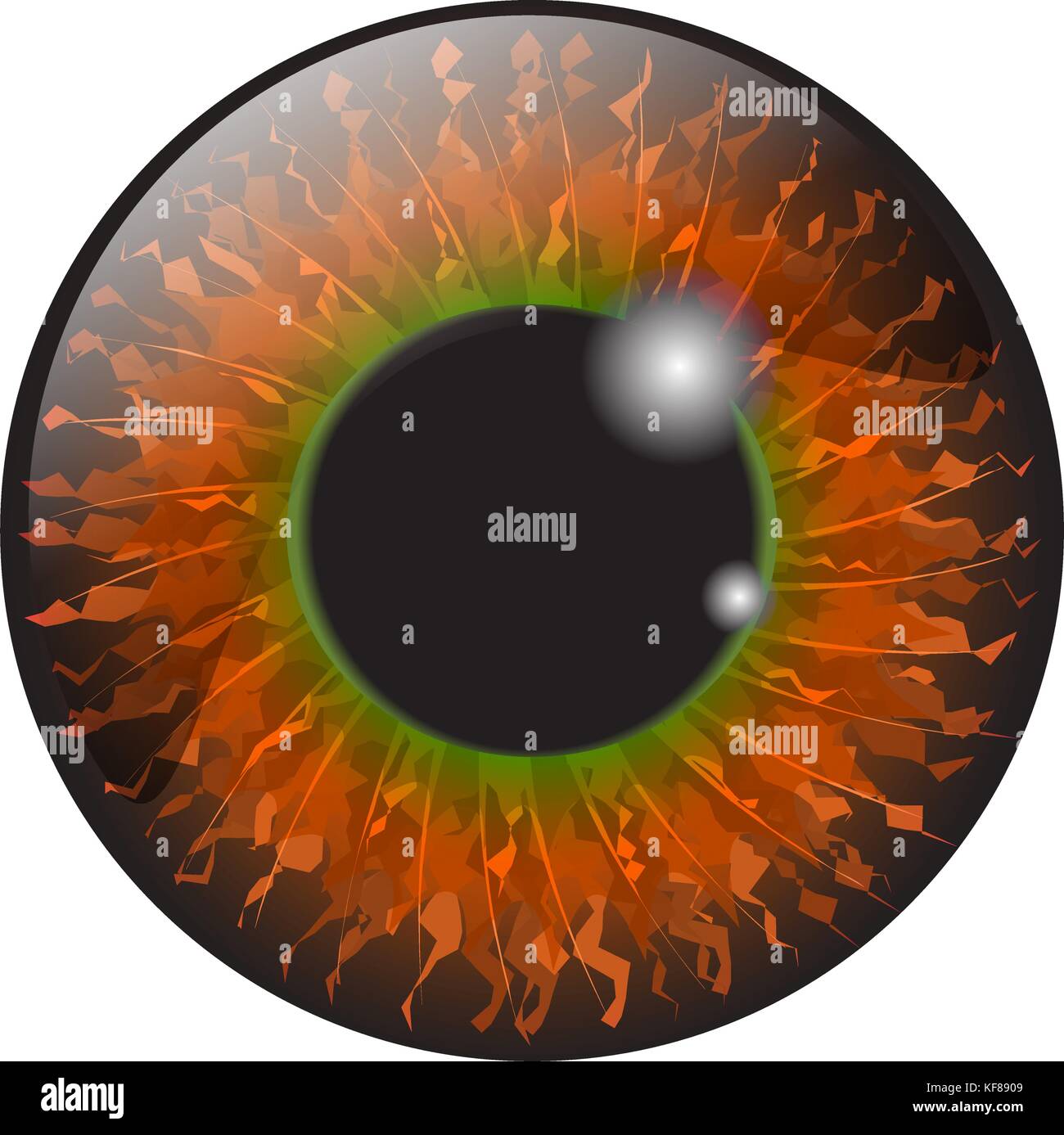 Arancione, hazel iris occhio vettore realistico set design isolato su sfondo bianco Illustrazione Vettoriale