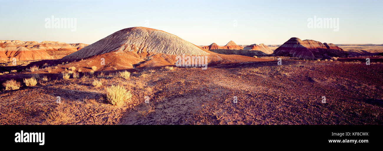 Stati Uniti d'America, Arizona, parco nazionale della foresta pietrificata, dipinto il paesaggio del deserto Foto Stock