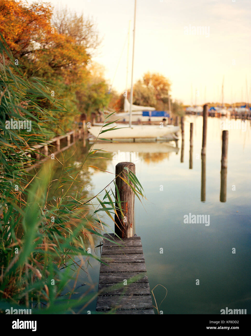 AUSTRIA, Weiden am See, vista sul lago in Seepark, Burgenland Foto Stock