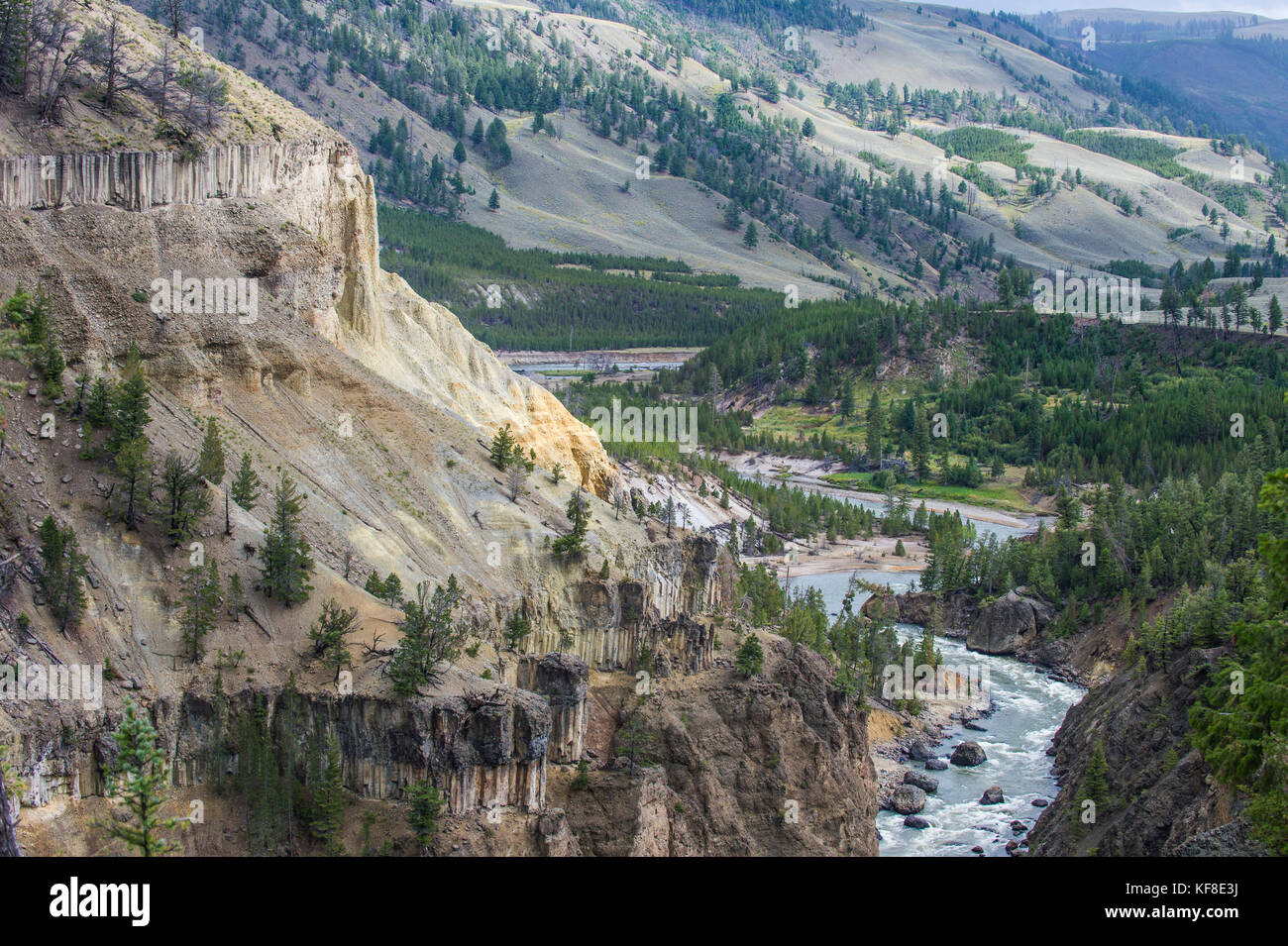 Yellowstone Fiume che scorre in una gola di pietra arenaria nel parco nazionale di Yellowstone, Wyoming usa Foto Stock