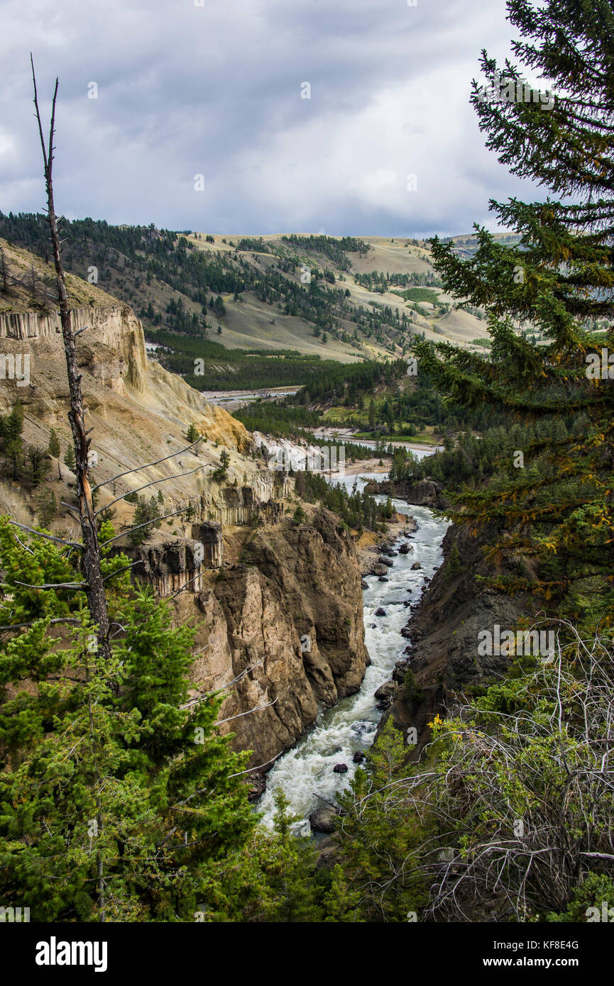 Yellowstone Fiume che scorre in una gola di pietra arenaria nel parco nazionale di Yellowstone, Wyoming usa Foto Stock