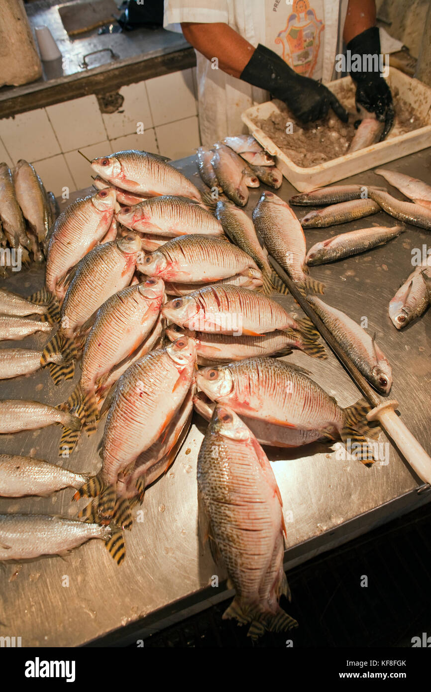 Il Brasile, uomo pesce di scalatura per la vendita a Manaus mercato del pesce Foto Stock