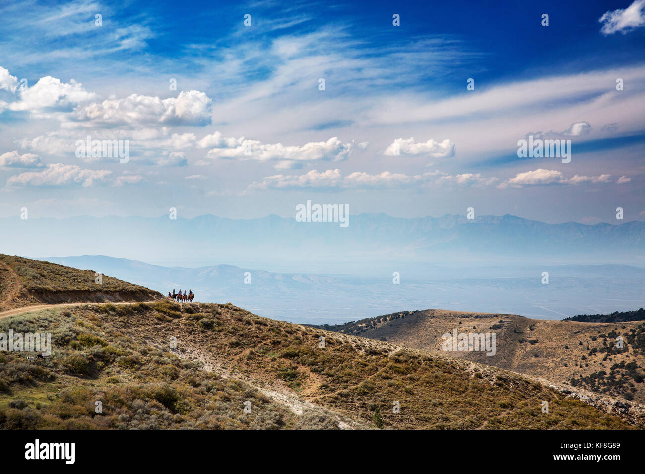 Stati Uniti d'America, Nevada, pozzi, gli ospiti possono godere di vedute come questo mentre sul loro equitazione escursione al mustang monumento, un lusso sostenibile eco friendly Foto Stock