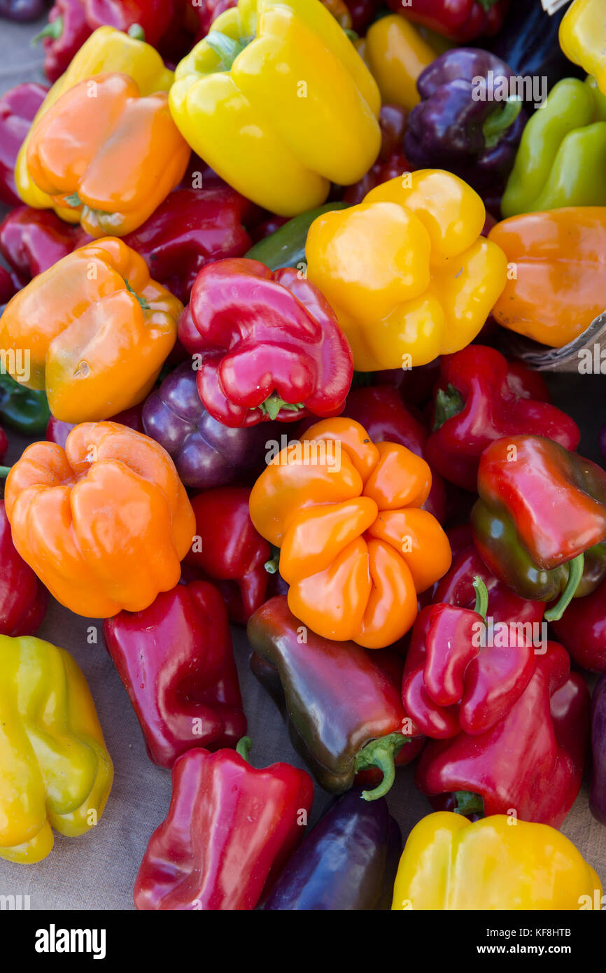 Stati Uniti d'America, oregon, Ashland, barking luna farm i peperoni in vendita presso la valle di rogue coltivatori e mercato crafters Foto Stock