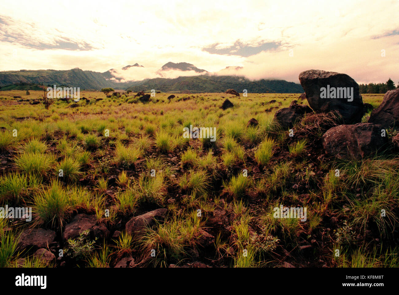 Panama, david, paesaggio vulcanico con baru vulcano a distanza, America centrale Foto Stock