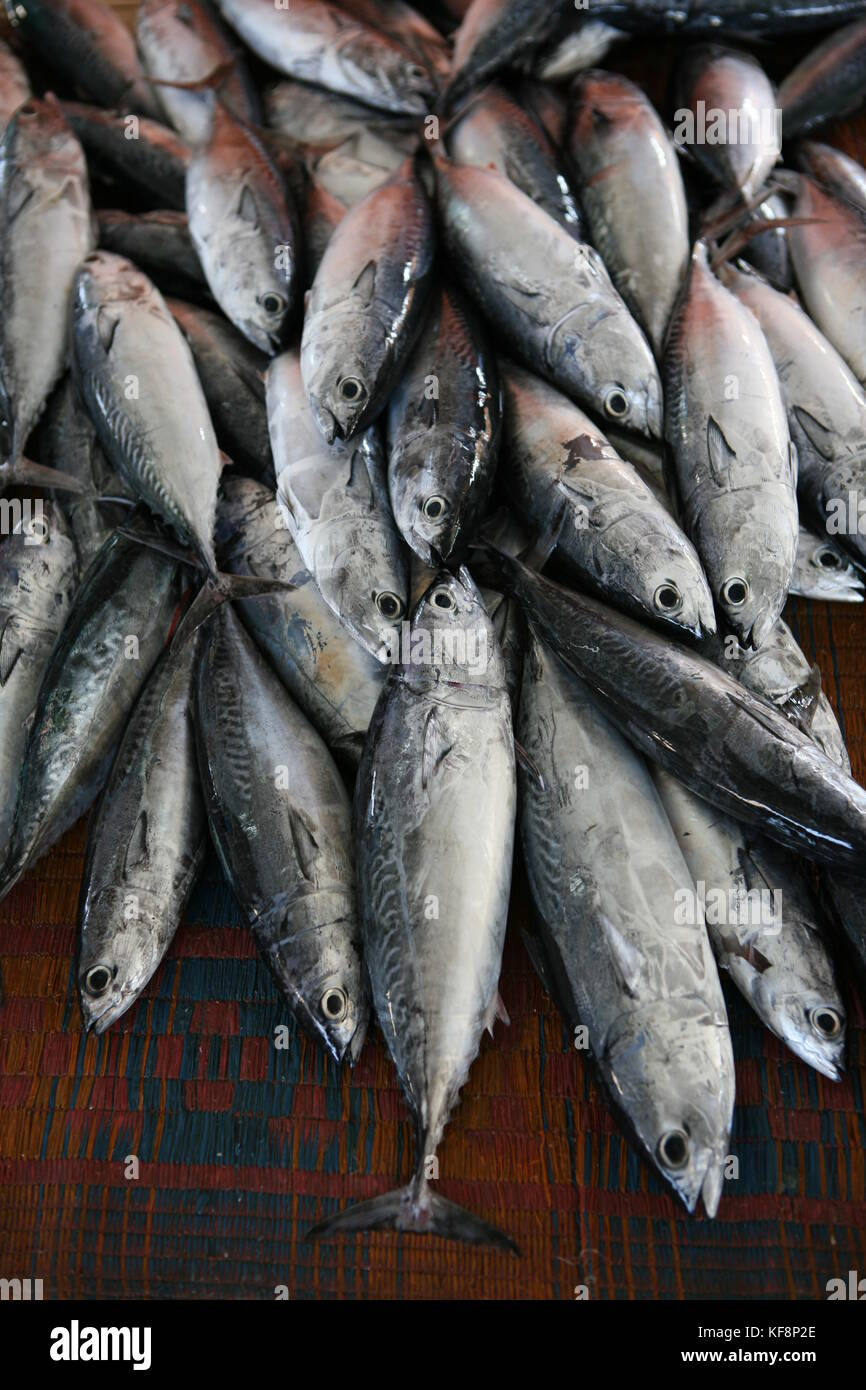 Tunfisch auf einem arabischen markt di muskat- tonno in un mercato arabo in Oman Foto Stock