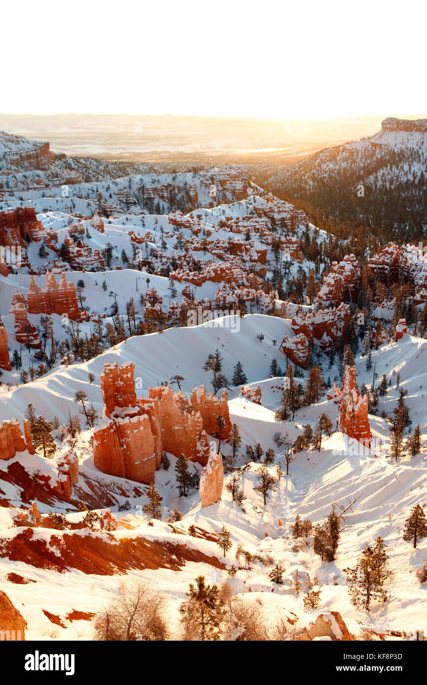 Stati Uniti d'America, Utah, Bryce Canyon city, il parco nazionale di Bryce Canyon e ampie vedute del bryce anfiteatro e hoodoos dal punto di sunrise Foto Stock